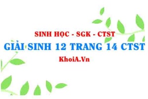 Giải Sinh 12 trang 14 Chân trời Sáng tạo